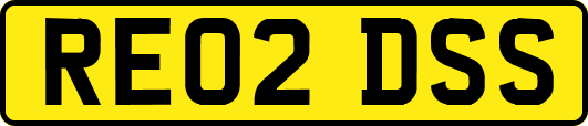 RE02DSS