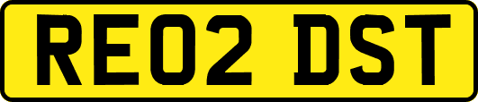 RE02DST