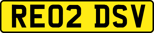 RE02DSV