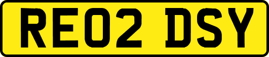RE02DSY