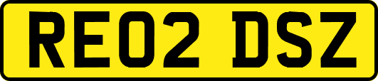 RE02DSZ