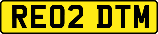 RE02DTM
