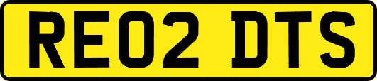RE02DTS