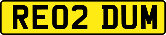 RE02DUM