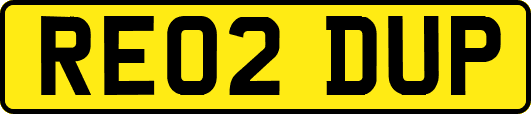 RE02DUP