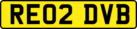 RE02DVB
