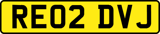 RE02DVJ