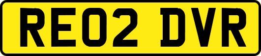 RE02DVR