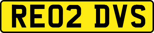 RE02DVS