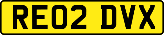 RE02DVX