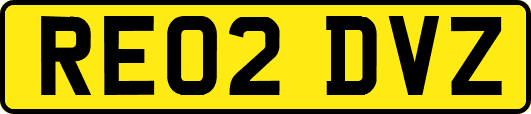RE02DVZ
