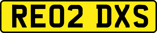 RE02DXS