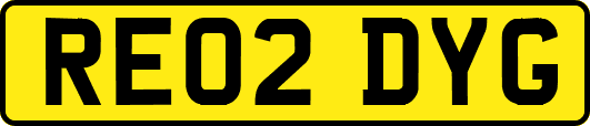 RE02DYG