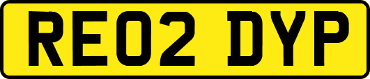 RE02DYP