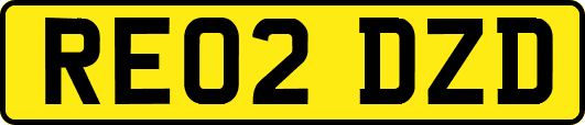 RE02DZD