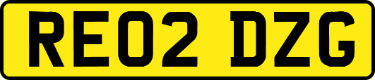 RE02DZG