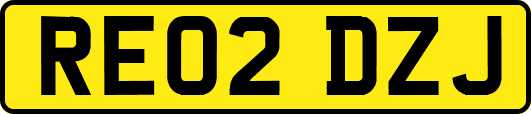 RE02DZJ