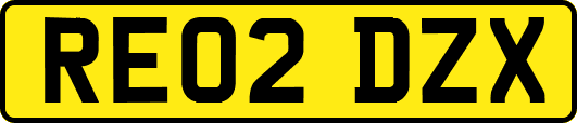 RE02DZX