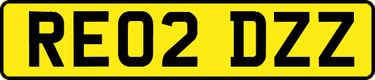 RE02DZZ