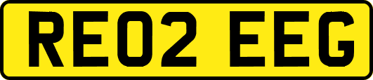 RE02EEG