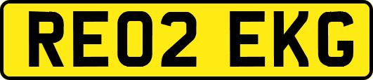 RE02EKG