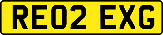 RE02EXG