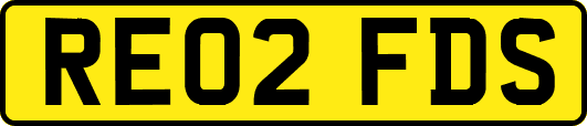 RE02FDS