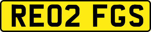 RE02FGS