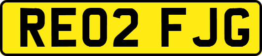 RE02FJG