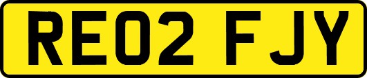 RE02FJY