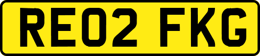 RE02FKG