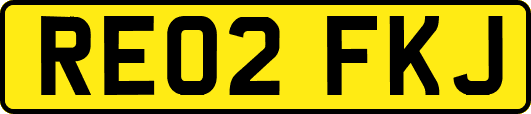 RE02FKJ