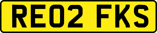 RE02FKS
