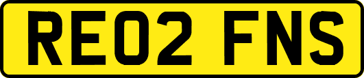 RE02FNS