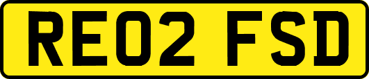 RE02FSD
