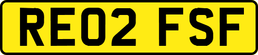 RE02FSF