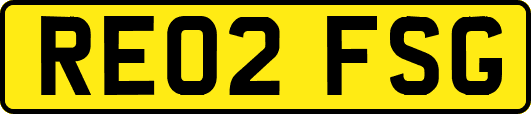 RE02FSG