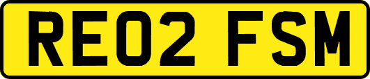 RE02FSM