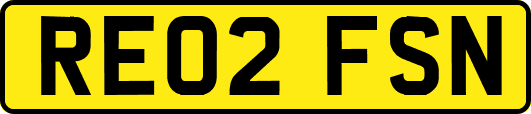 RE02FSN