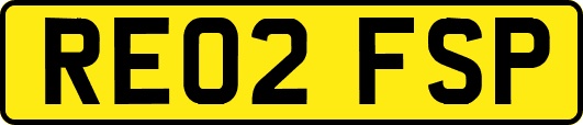 RE02FSP