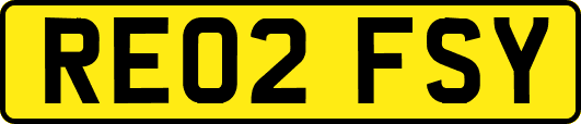 RE02FSY