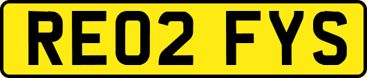 RE02FYS