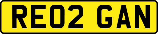 RE02GAN