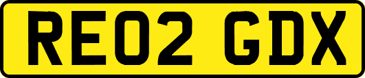 RE02GDX