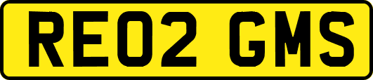 RE02GMS