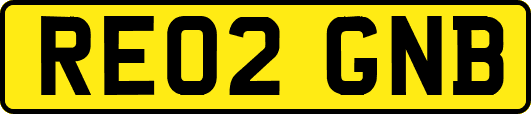 RE02GNB