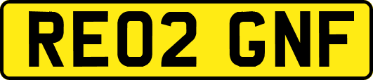 RE02GNF