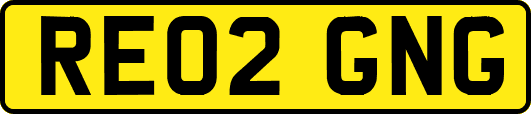RE02GNG