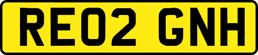 RE02GNH