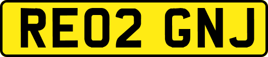 RE02GNJ